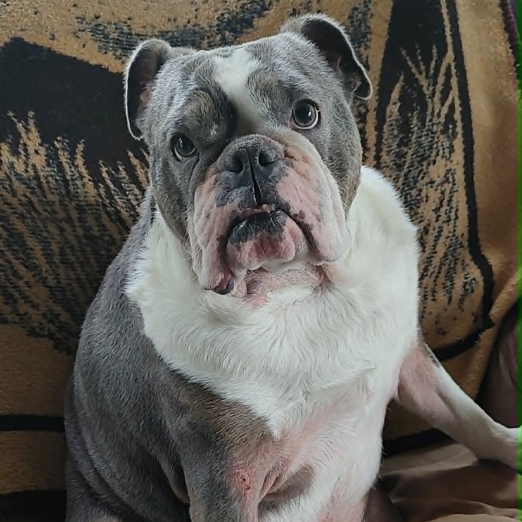Fiona