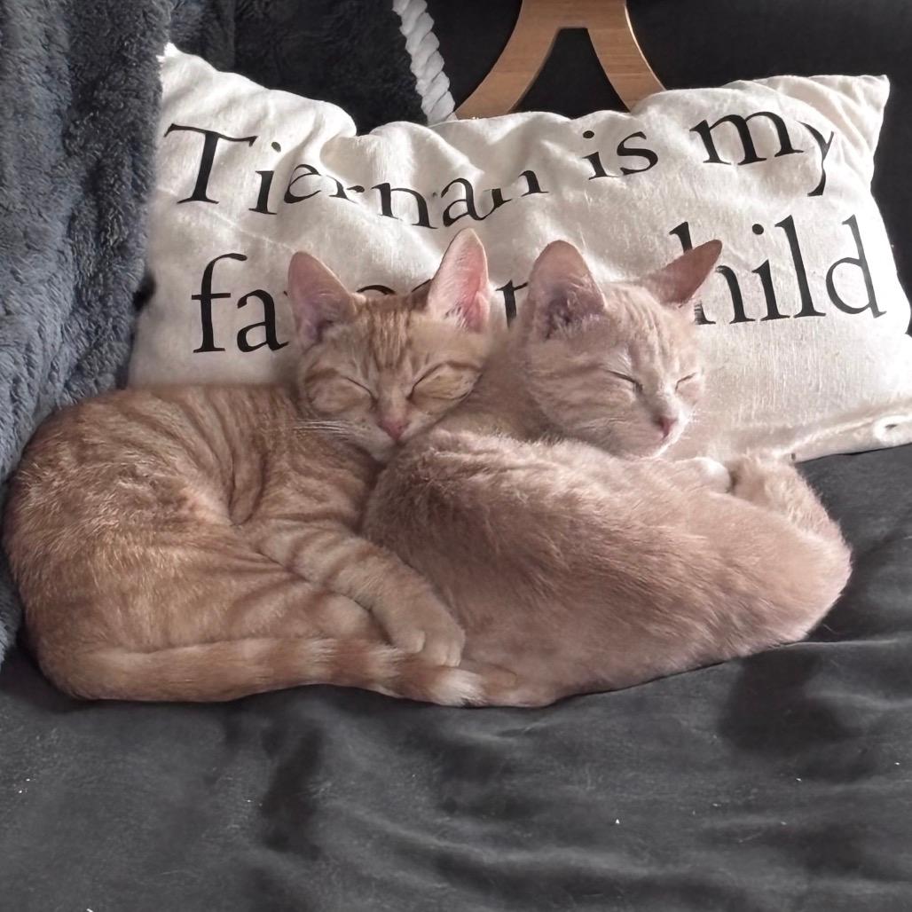 Fred and George