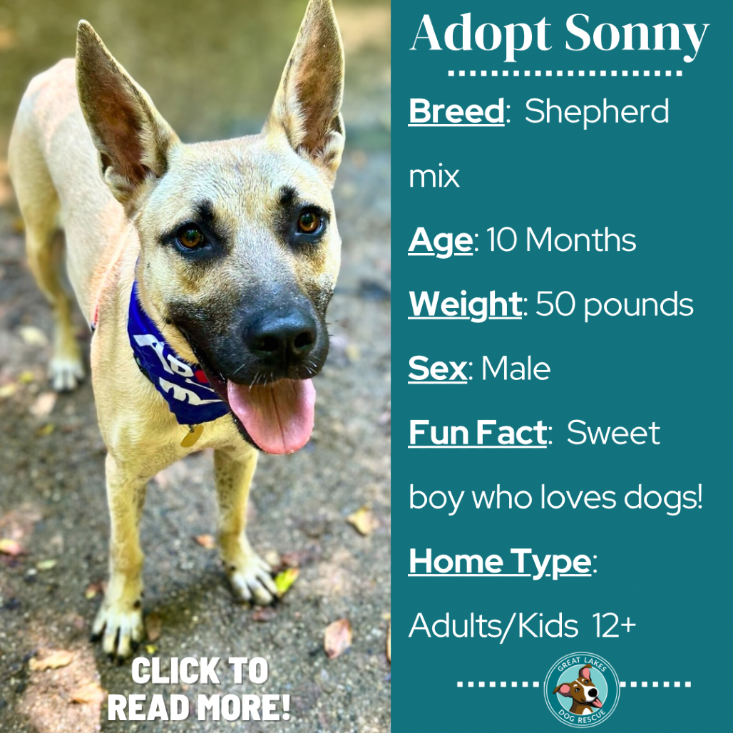 Sonny