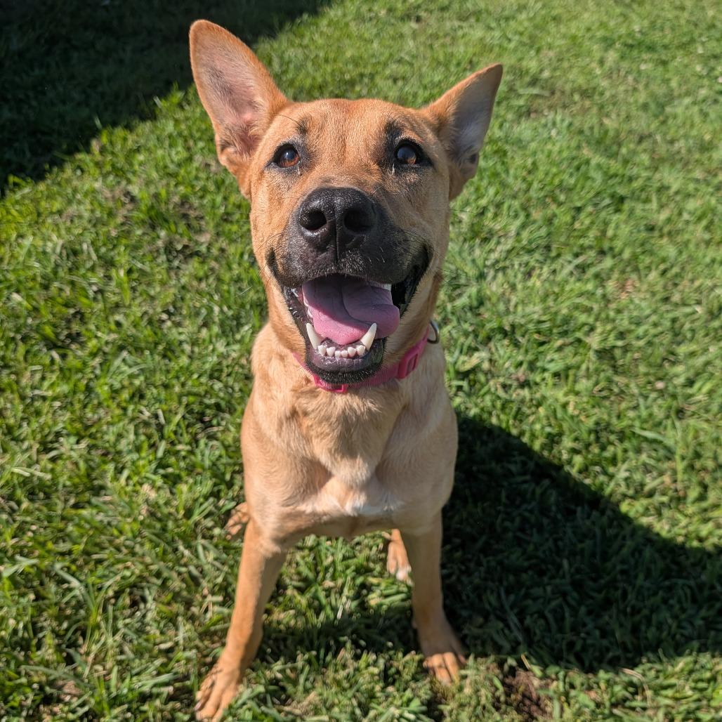 Rosie