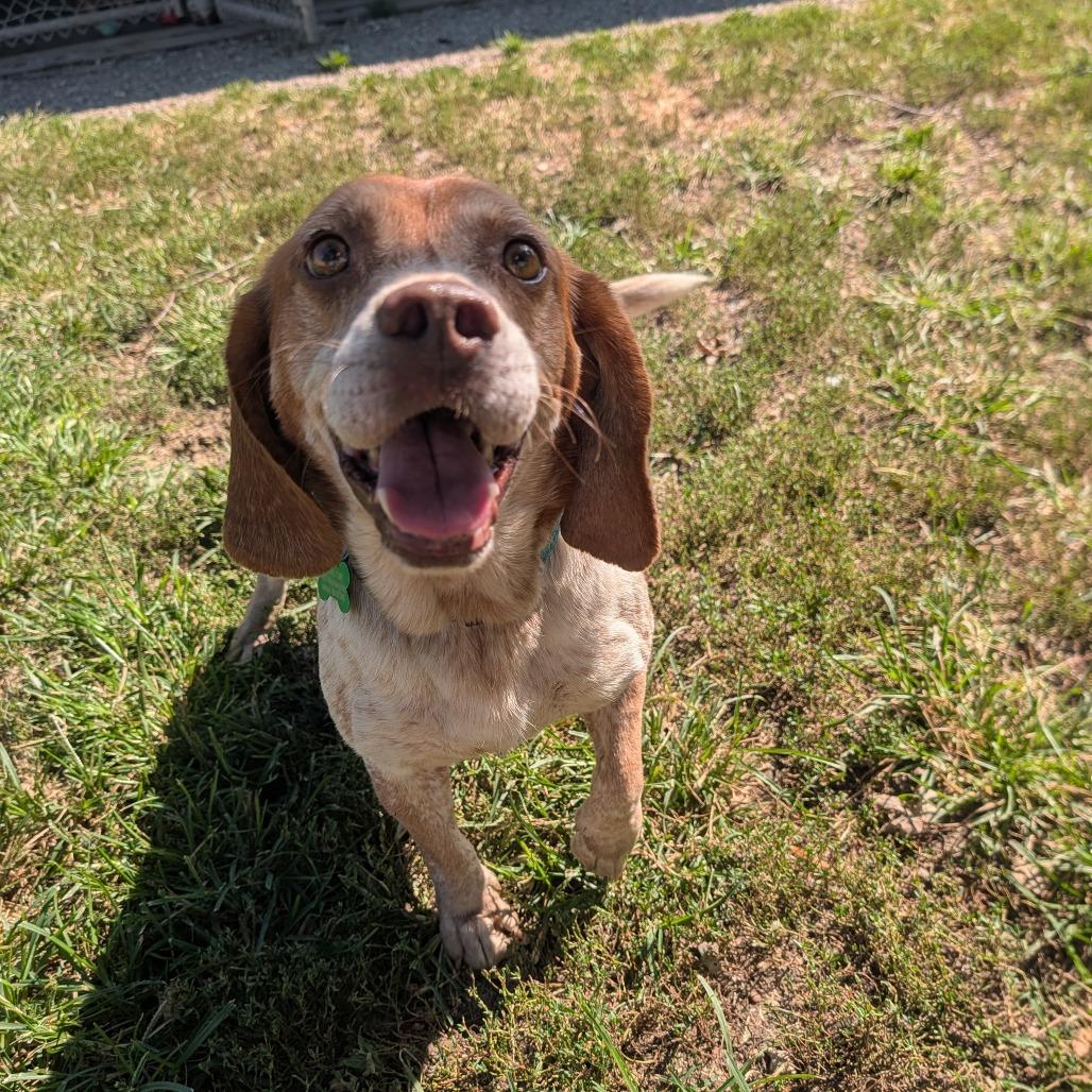 Waldorf