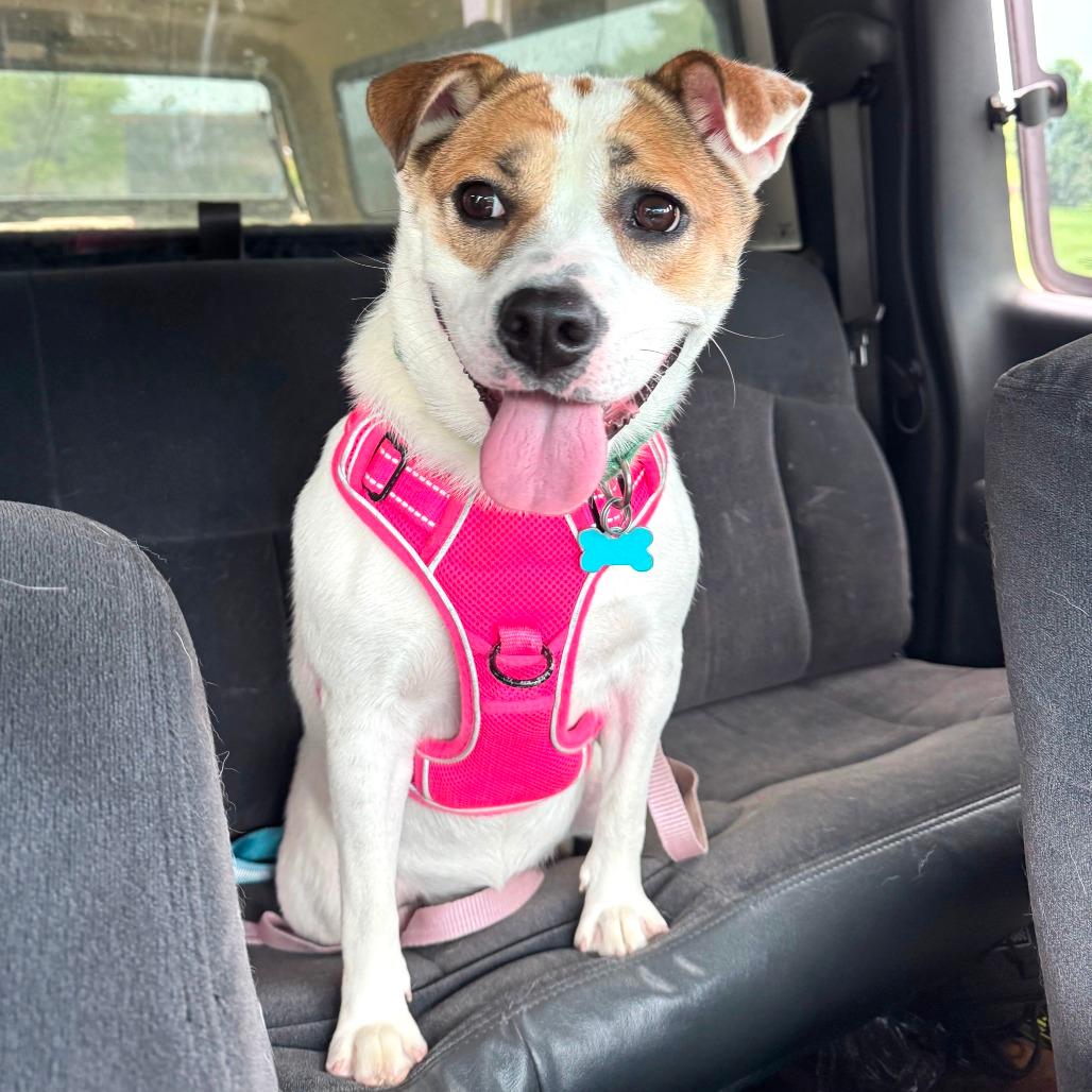 Sally Sue