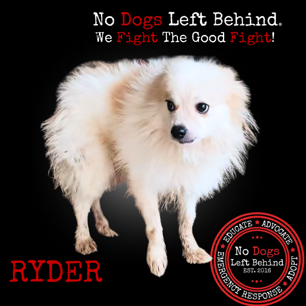 Ryder 3980