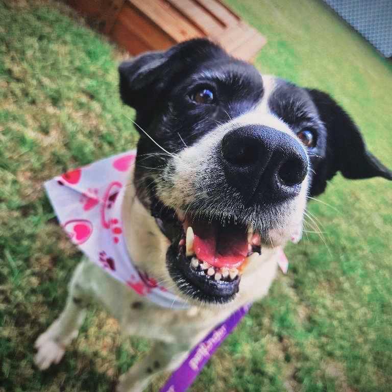 Aunt Daisy 