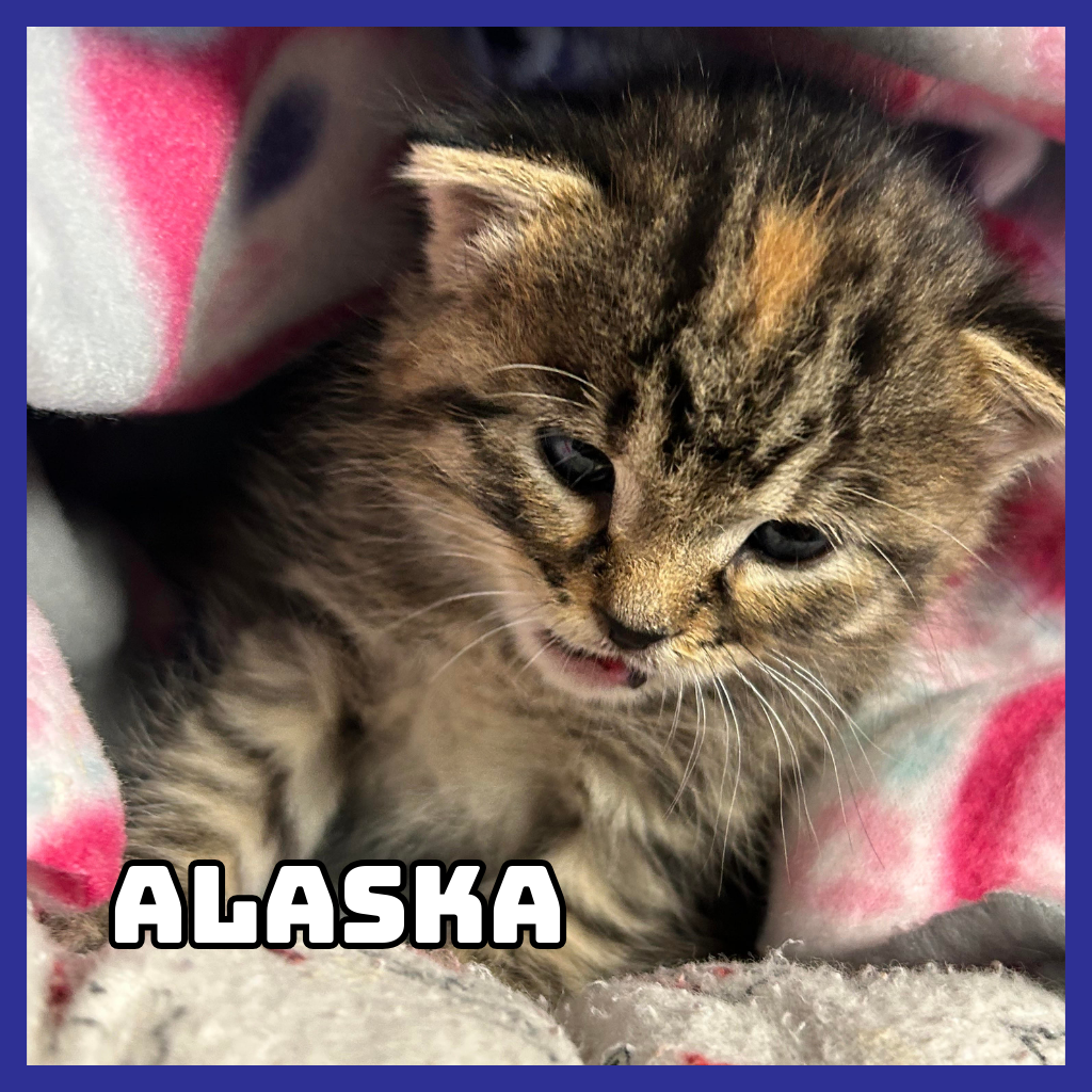 Alaska