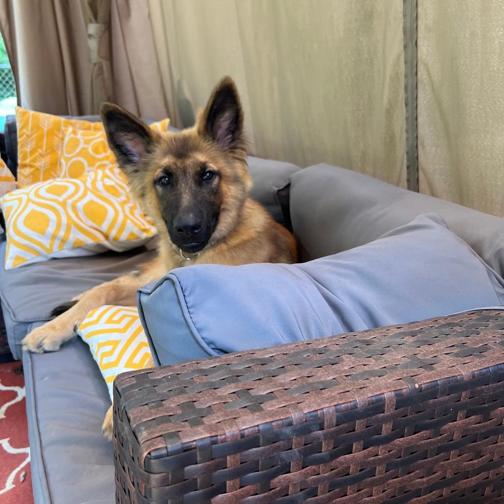 Zeus 