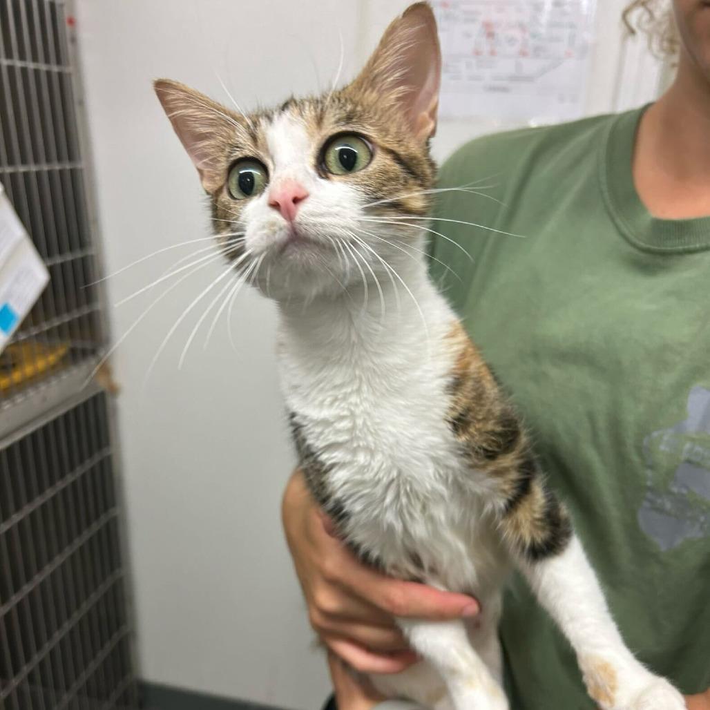 Shelly *Meet me at Eagan Petsmart*