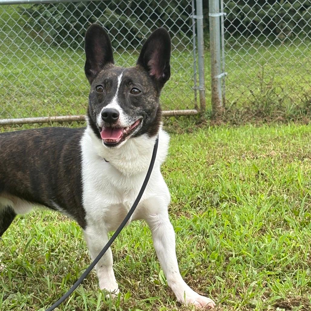 Zuko