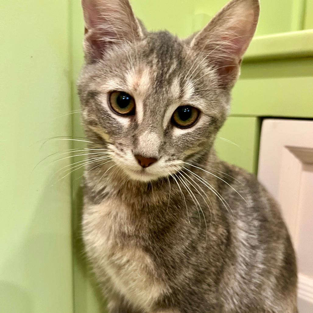 Ramona