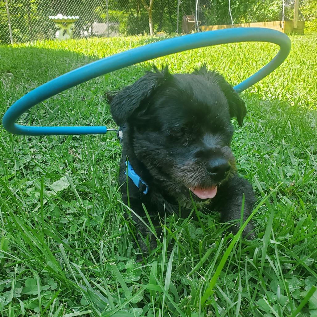 Nena
