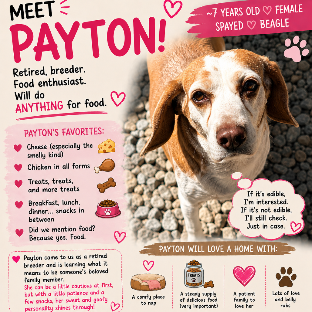 Payton