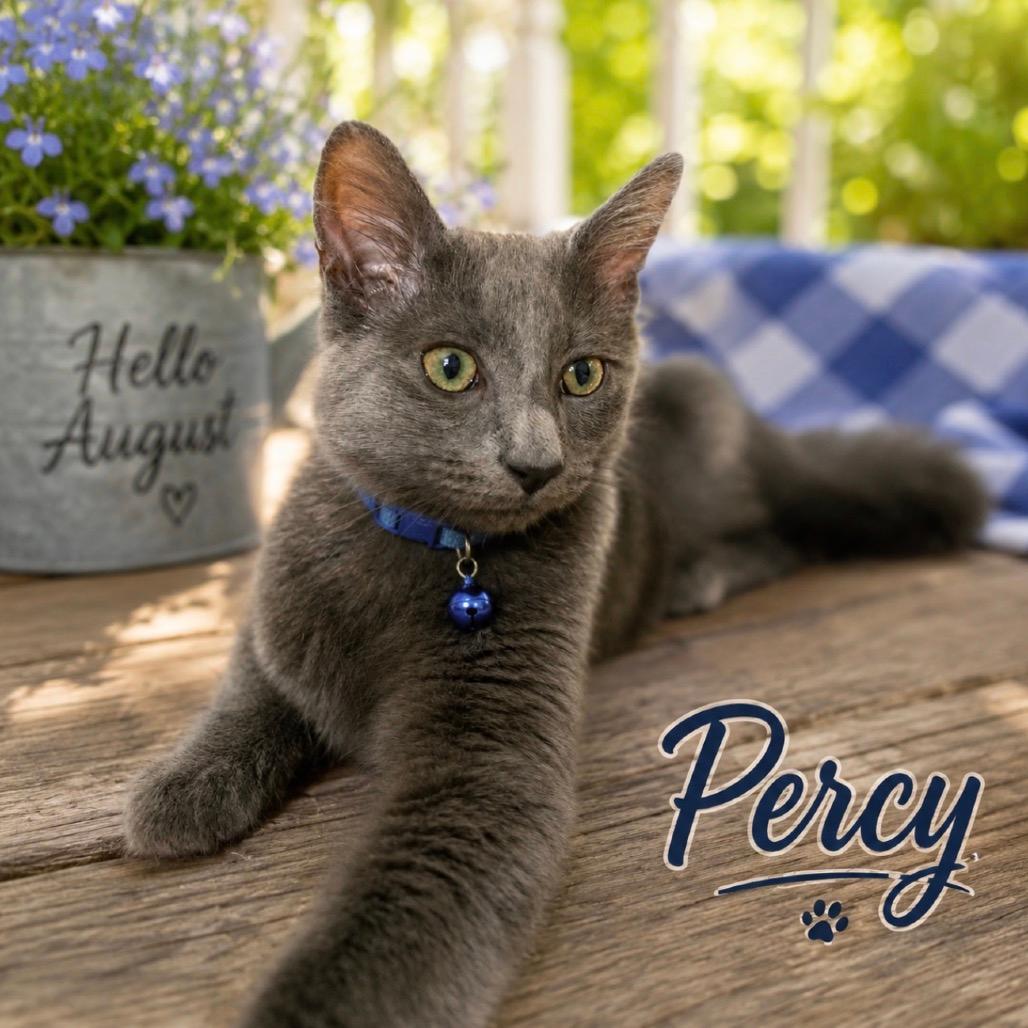 Percy