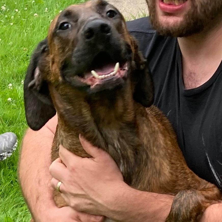 Loki