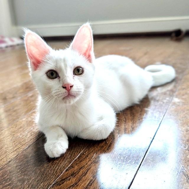 Casper