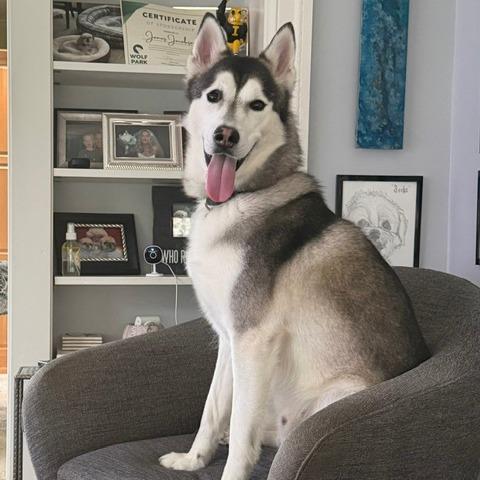 Benjy