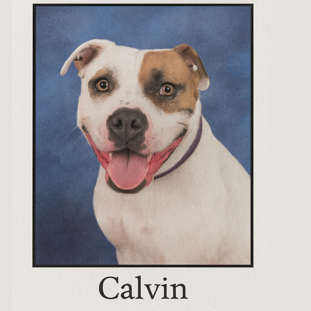 Calvin