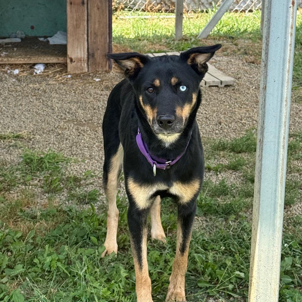 Bonnie