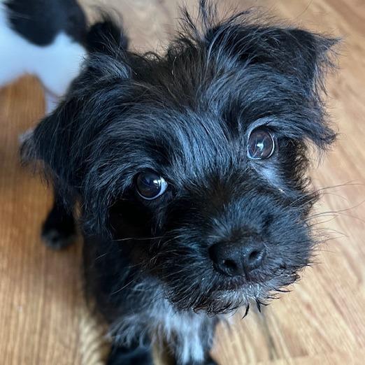 Edgar