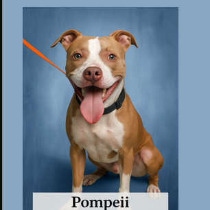 Pompeii