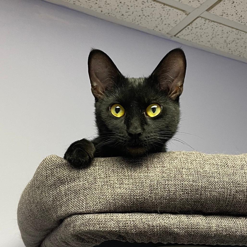 Luna