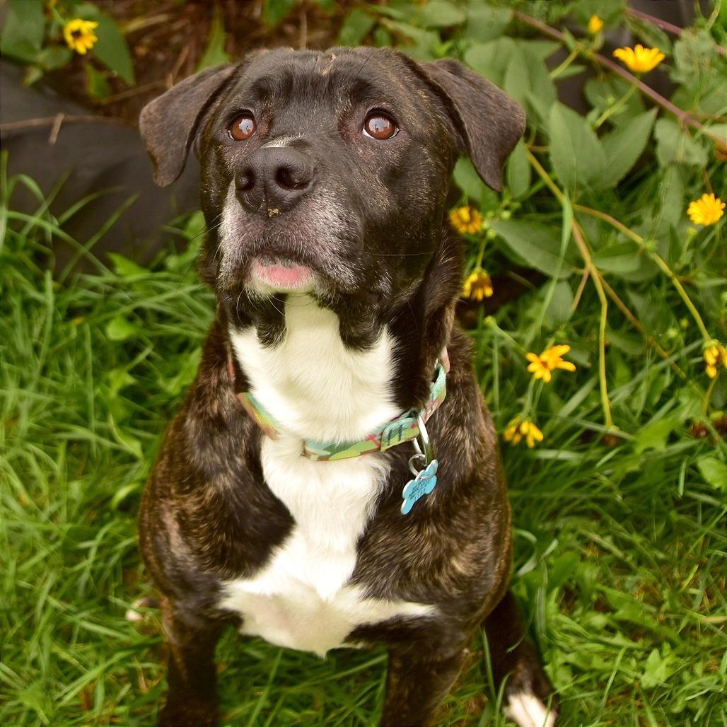 Odin