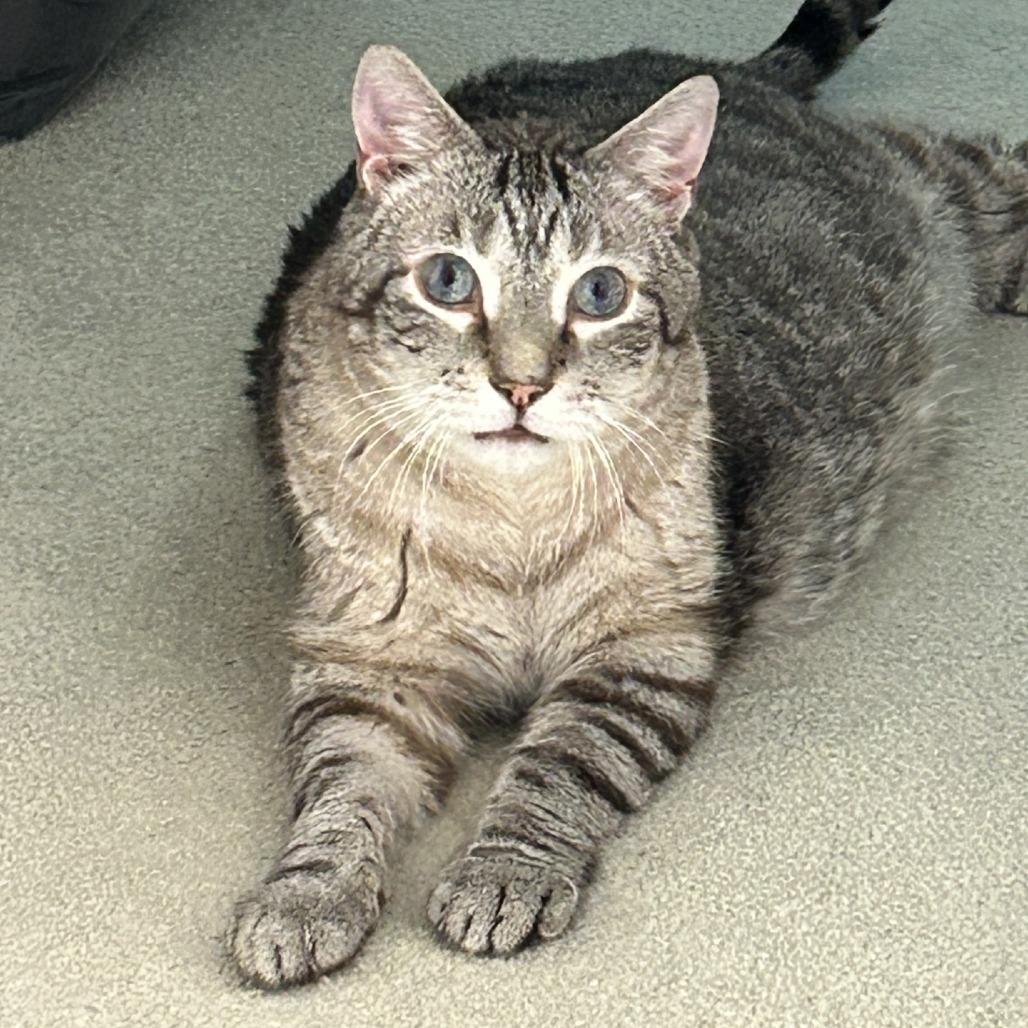 Oscar- IN FOSTER