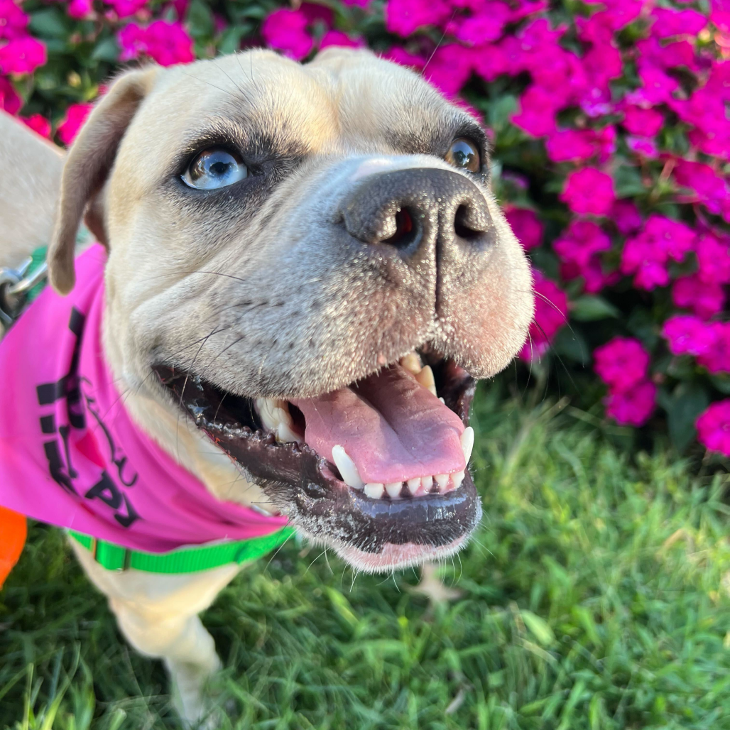 Coco 