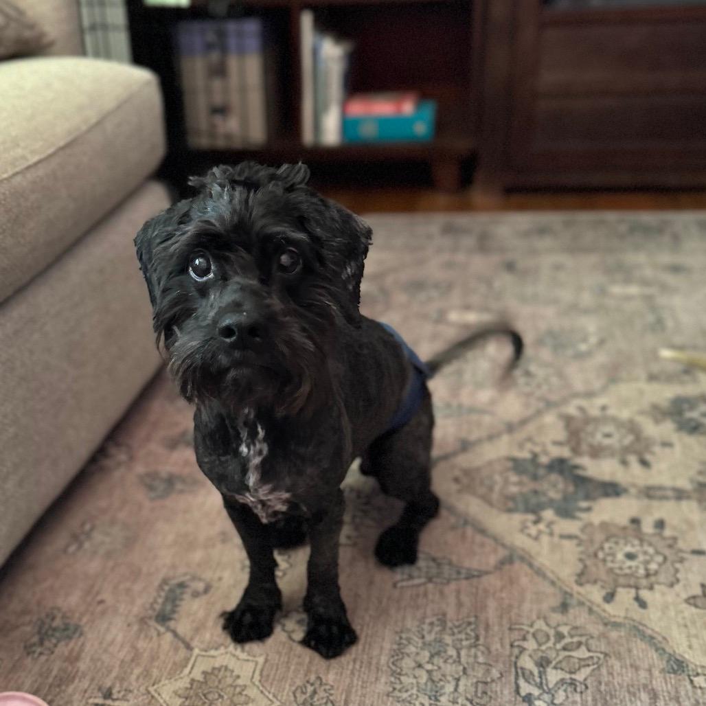 Walter