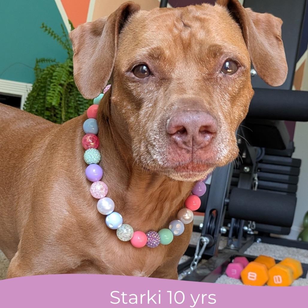 Starki