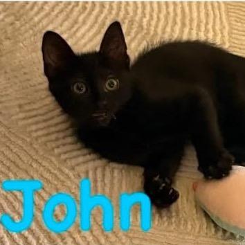 John