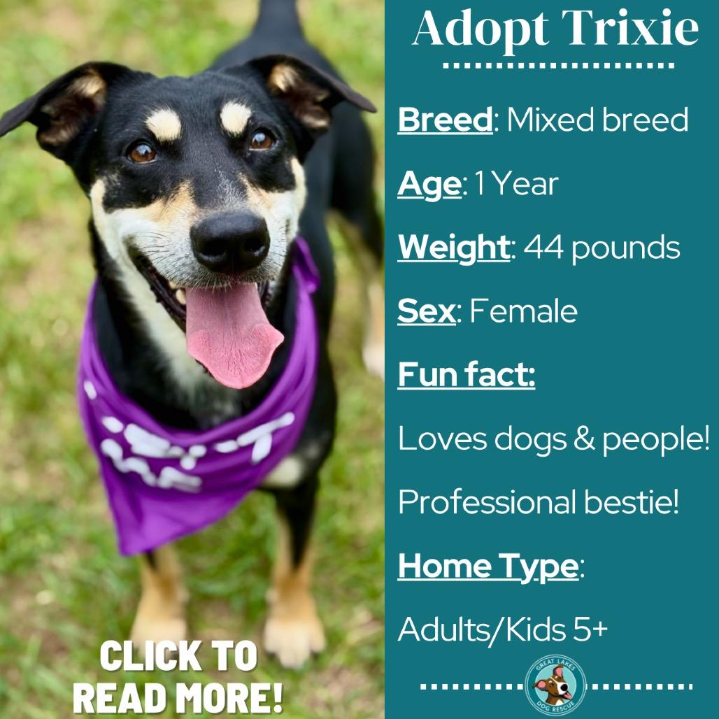 Trixie