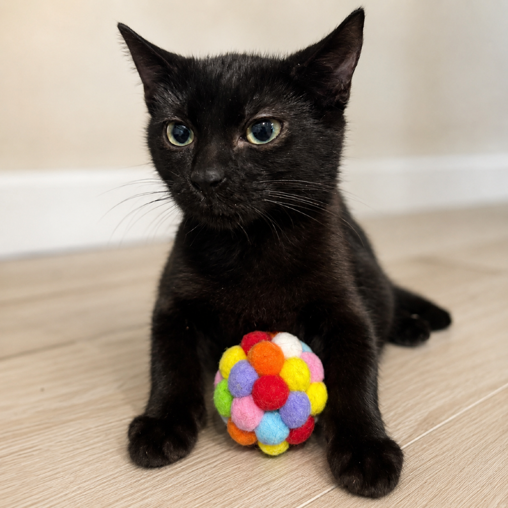 Binx