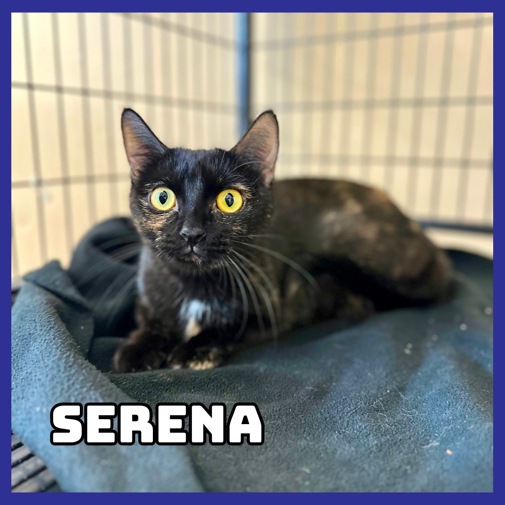 Serena