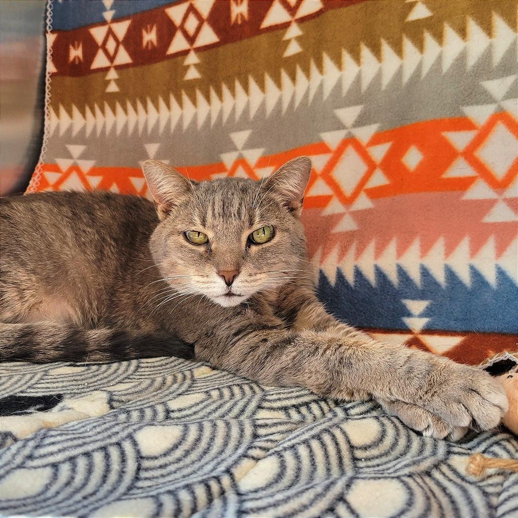 Izzy