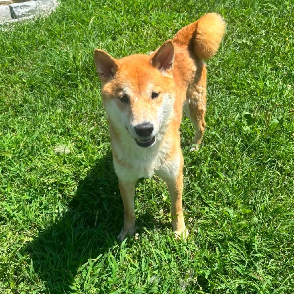 Max