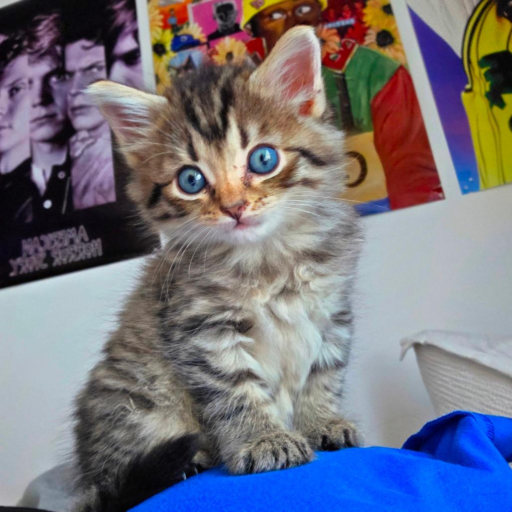 Pippin "Pip"