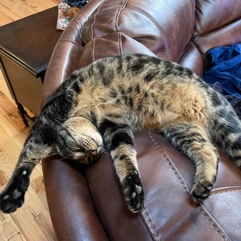 Rocky *            (courtesy post)