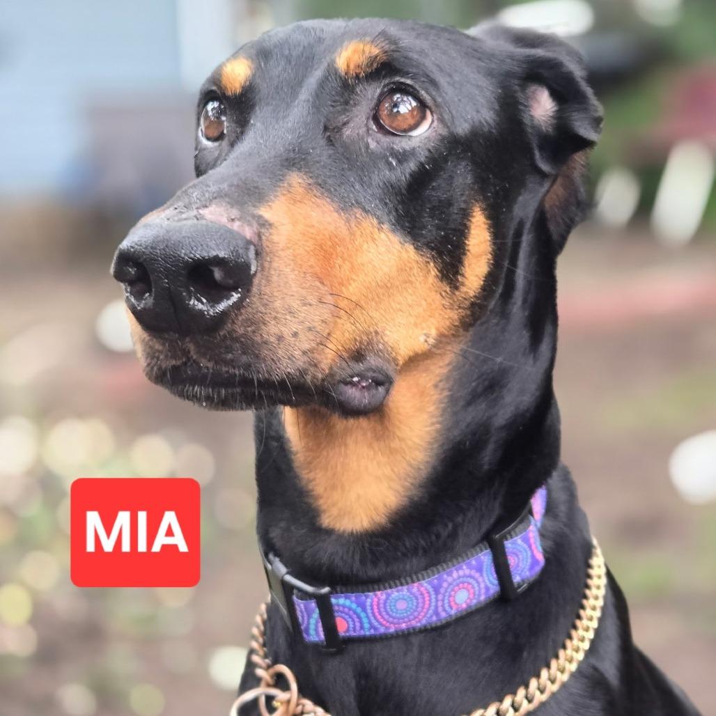 Mia 