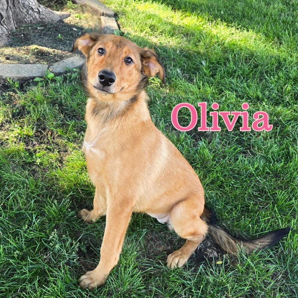 Olivia