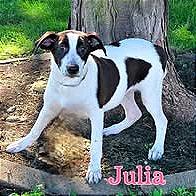 Julia