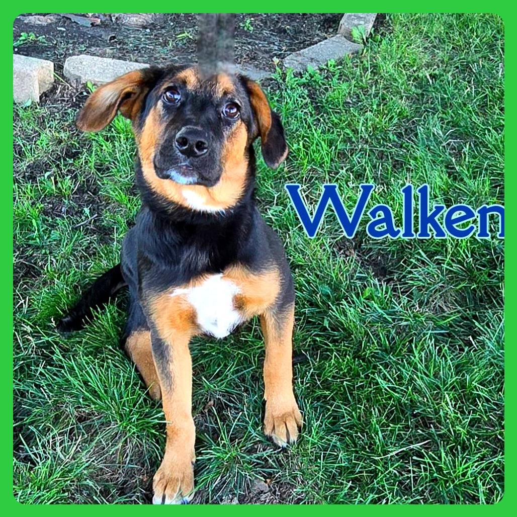 Walken