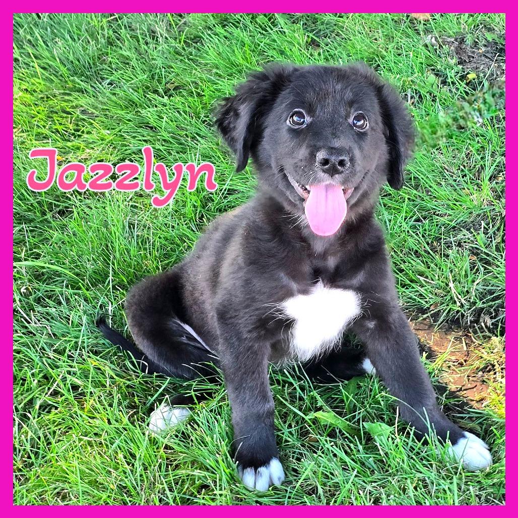 Jazzlyn