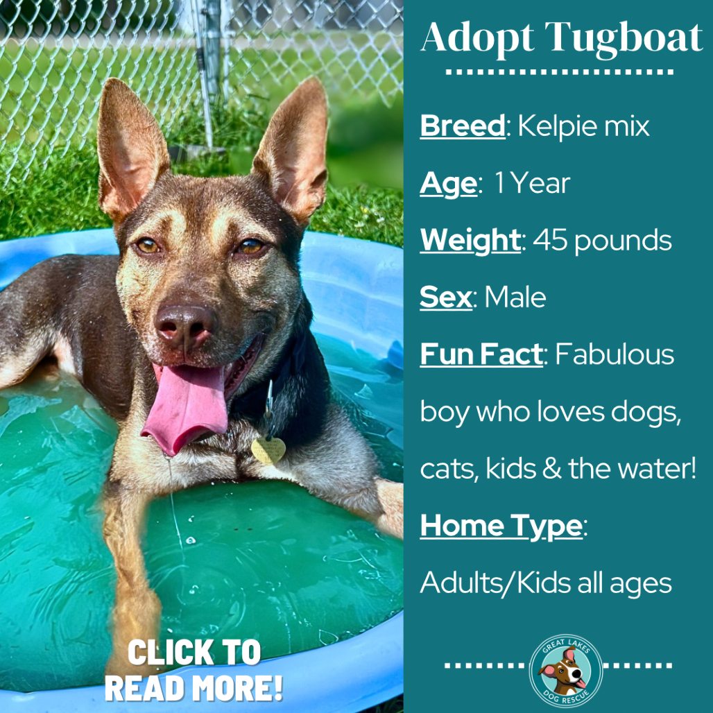 Tugboat