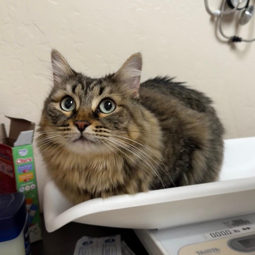 Stormy