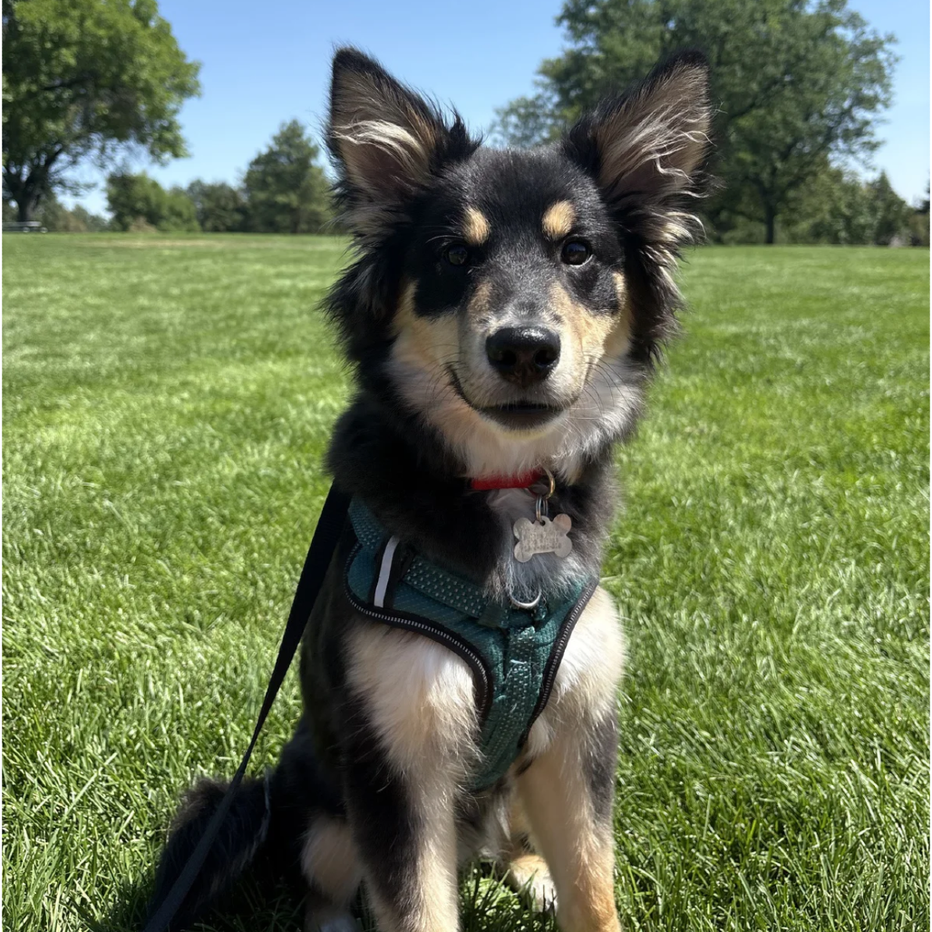Denver
