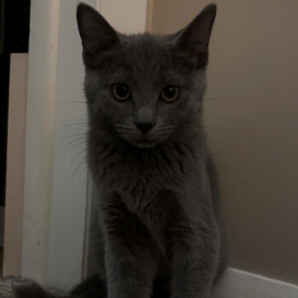 Skye (lilith)