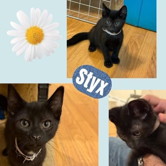 Styx