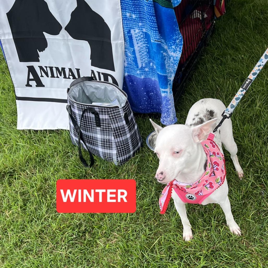 Winter