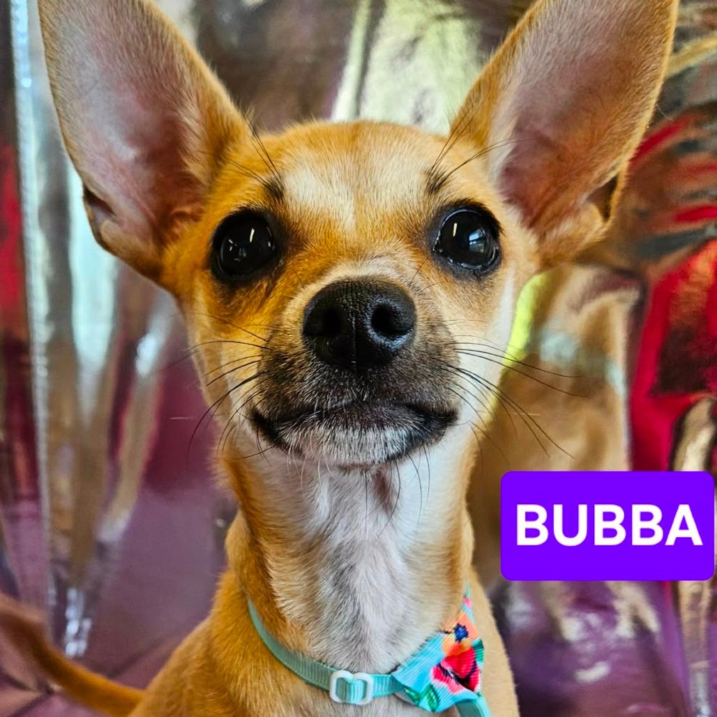 Bubba