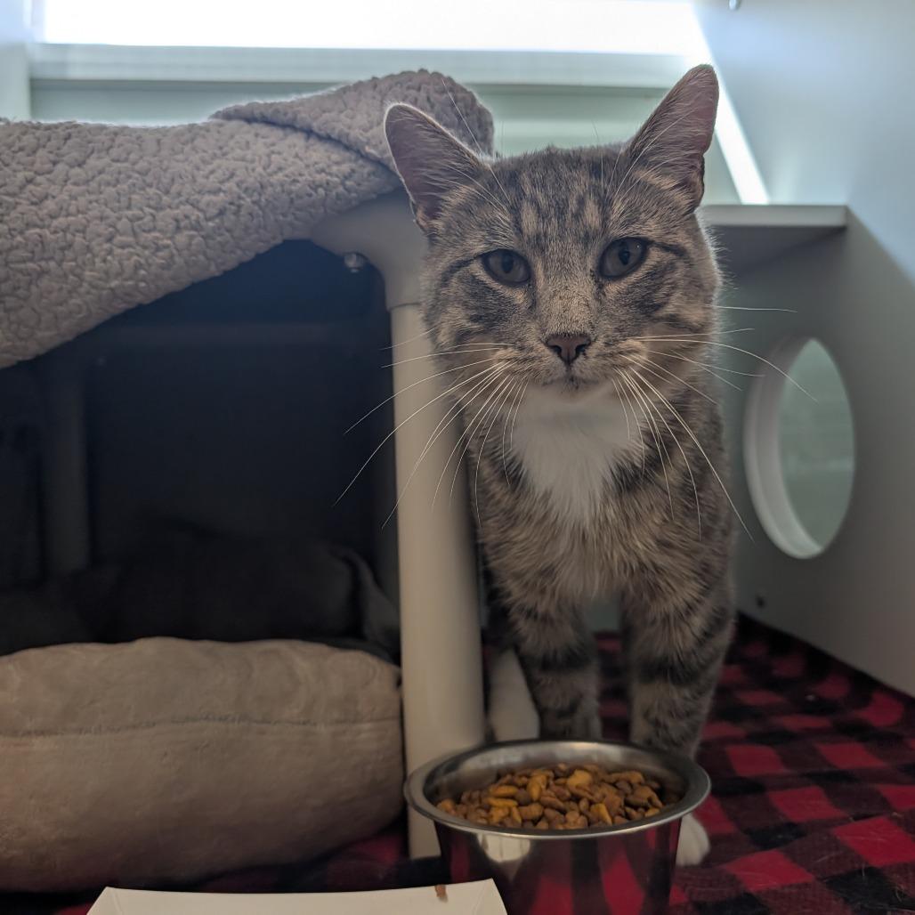Otis